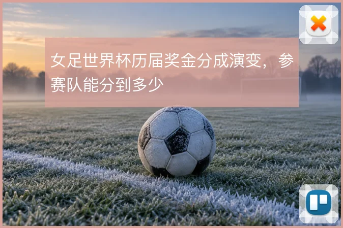 女足世界杯历届奖金分成演变，参赛队能分到多少